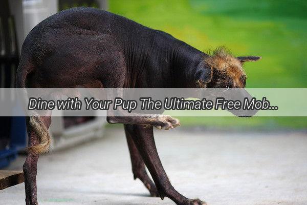 Dine with Your Pup The Ultimate Free Mobile App for Doggy Feeding Fun